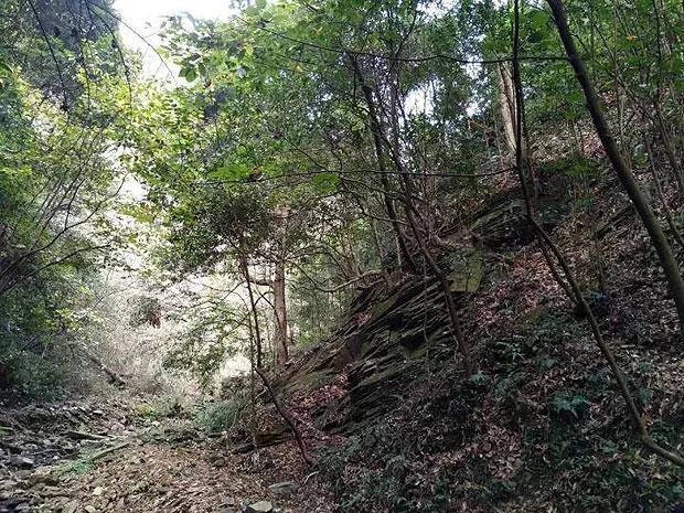 小犀牛救援